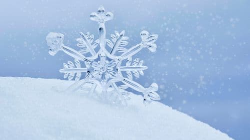 რა არის თოვლი? — როგორ წარმოიქმნება და რატომ არის მნიშვნელოვანი